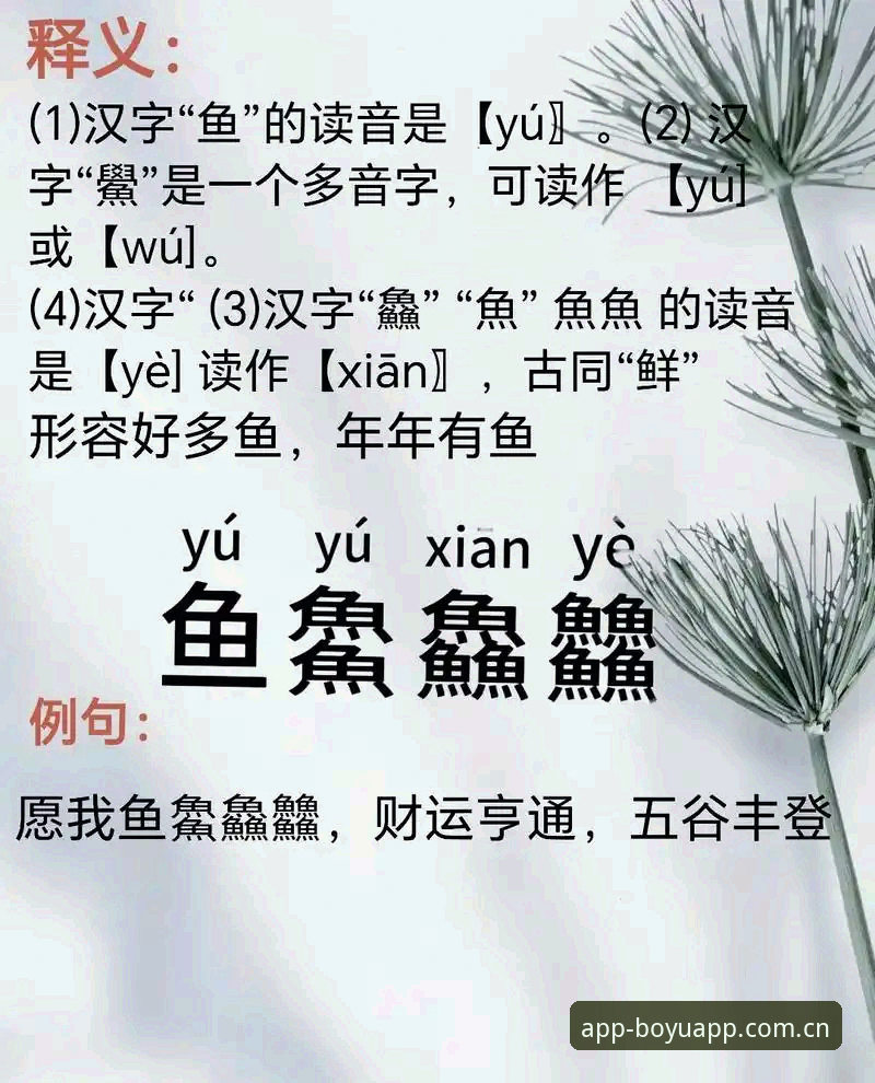 2025博鱼APP赛事追踪功能深度评测：新手从零到熟练的完整体验报告